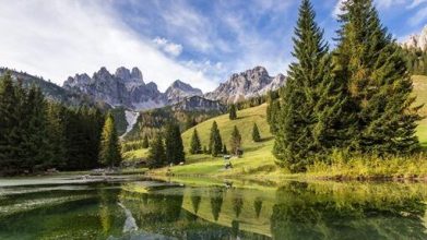 almsee-1
